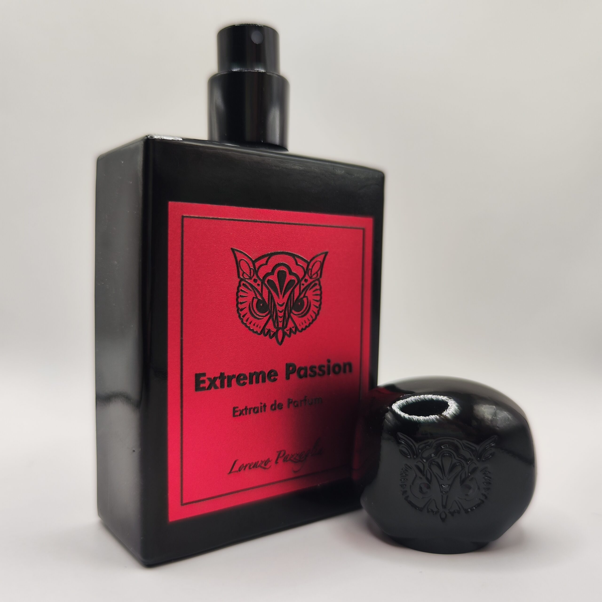 Extreme Passion - Image 2