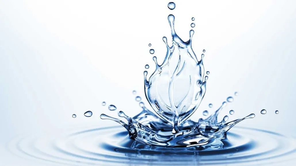 Aquatic